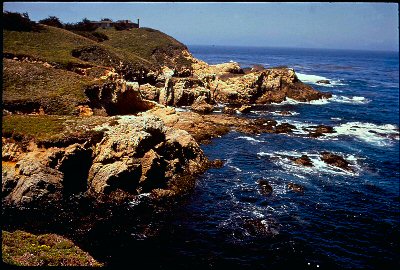 Shoreline near Monterey