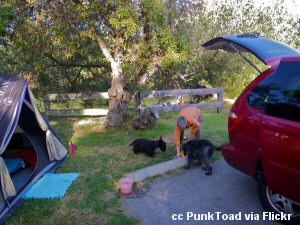 Camping site at Pismo State Beach
