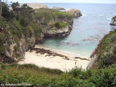 Point Lobos cove