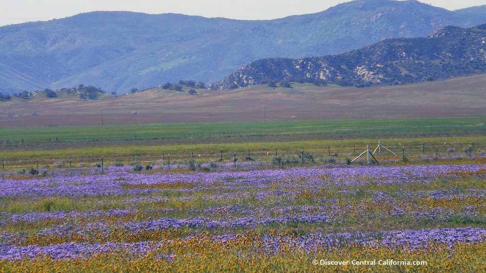 Carrizo Plain National Monument Nature Archaeology And Geology Come Together Carrizo Plain National Monument Nature Archaeology And Geology Come Together