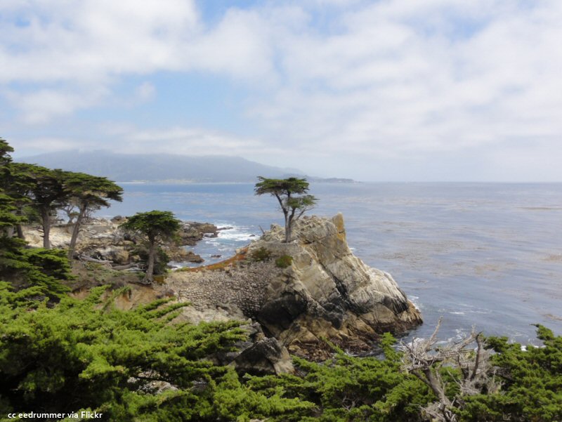 Scattered clouds and the lone cypress