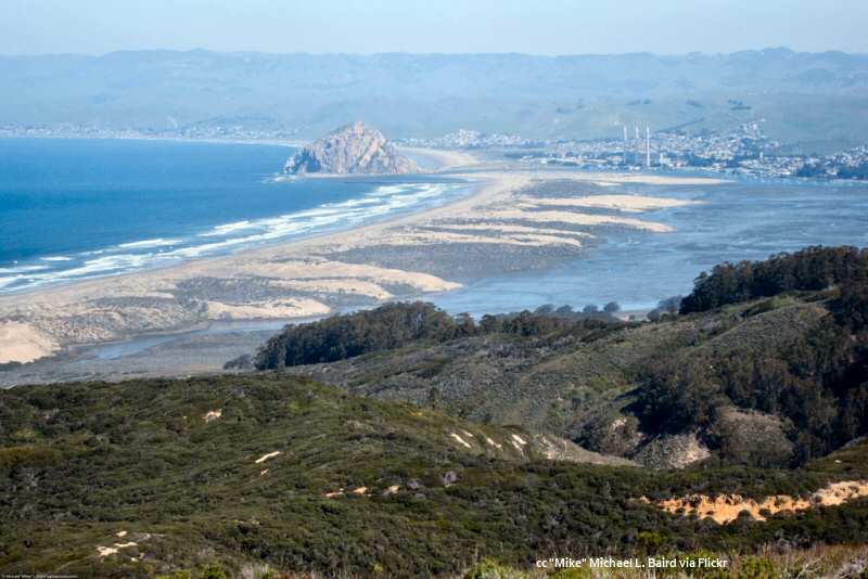 View of Morro Bay and Rock from Montana de Oro State Park