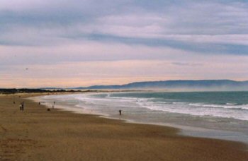 A southerly view of the beach at Pismo