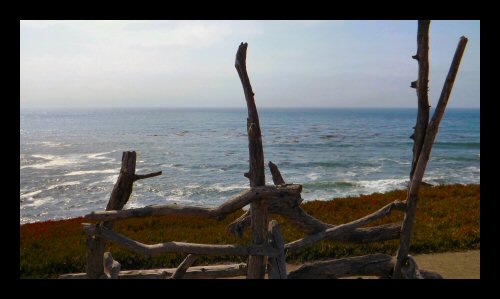 A funky bench overlooking the ocean at the Fiscalini Ranch Preserve in Cambria
