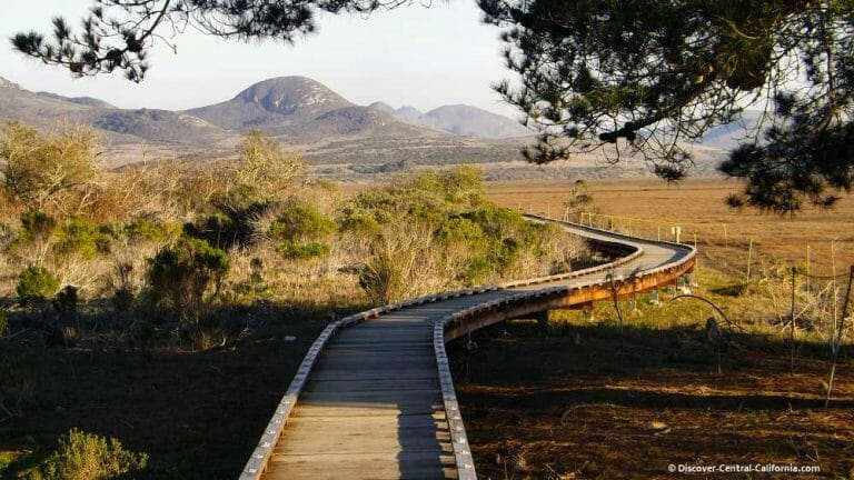 Central California Boardwalks – Your guide to the walkways along the coast