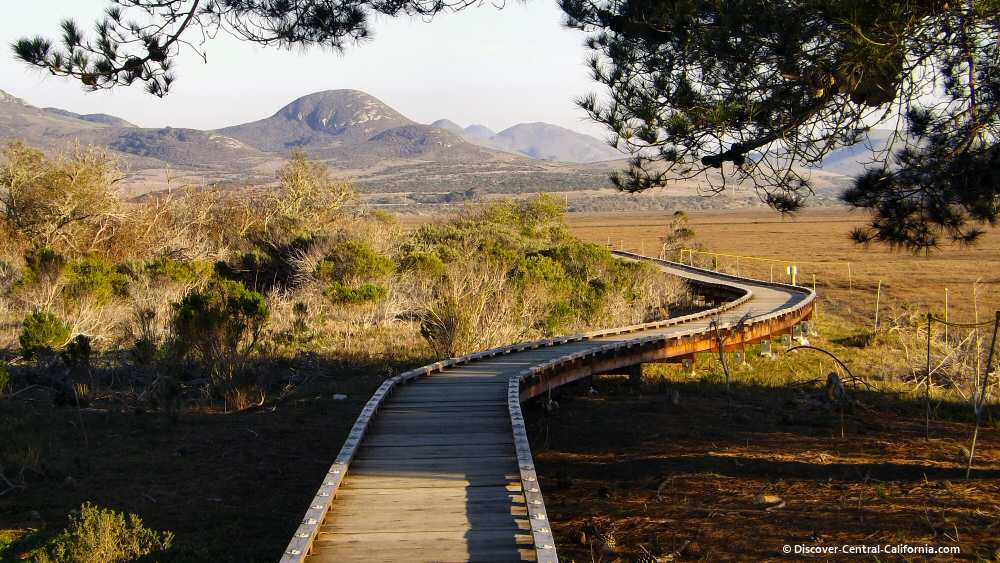 A wooden walkway leading to a grassy area with mountains in the background.