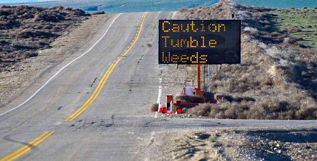 Caution Tumbleweeds