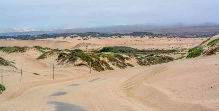 Rancho Guadalupe Dunes – Guadalupe Beach