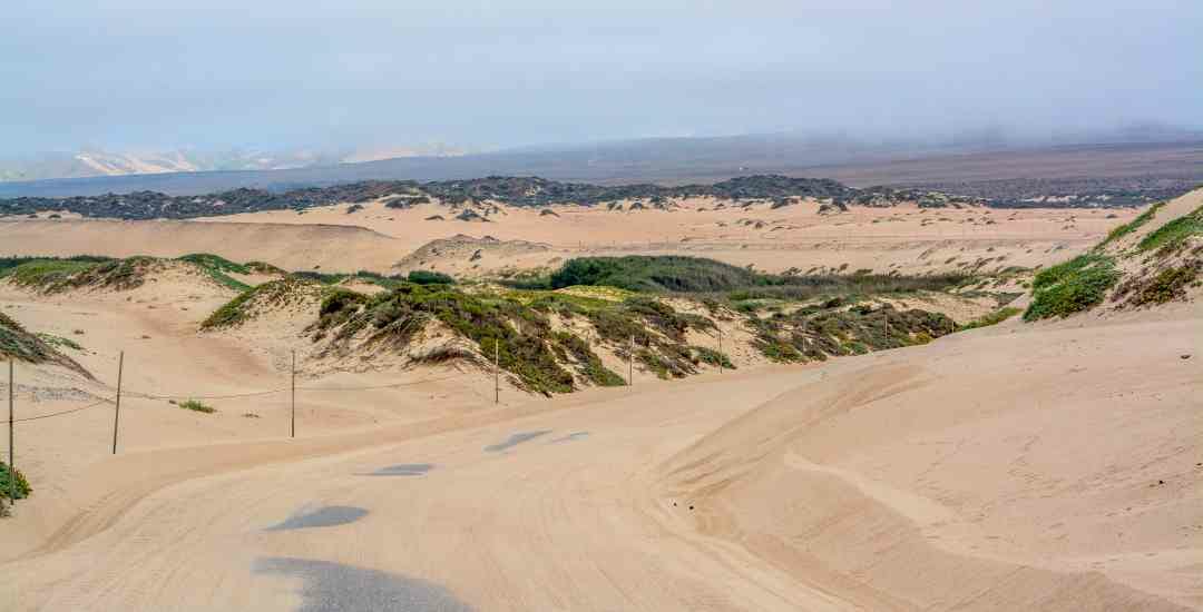 Rancho Guadalue Dunes Preserve