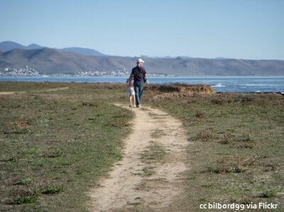 Walking the trail at Estero Bluffs State Park