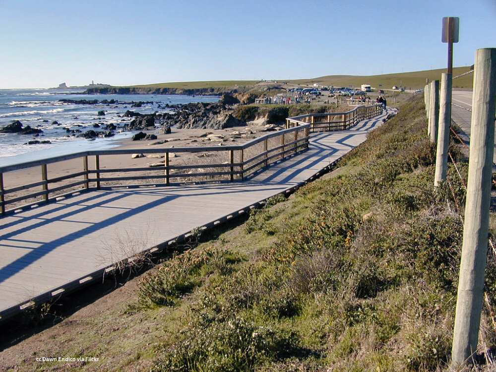 Boardwalk allowing good views of elephant seals